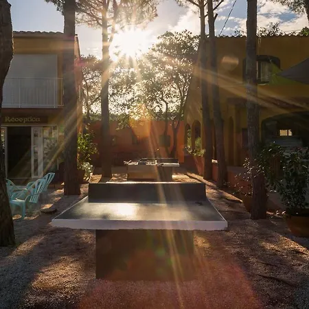 Domaine Des Mimosas Apartment Argeles-sur-Mer Exterior photo