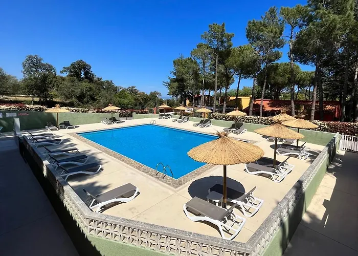 Domaine Des Mimosas