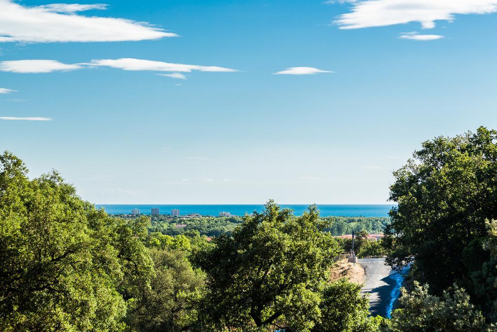 Domaine Des Mimosas * Argelès-sur-Mer